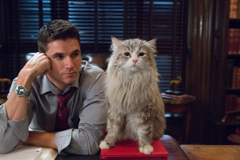 Photo: EuropaCorp